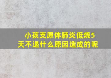 小孩支原体肺炎低烧5天不退什么原因造成的呢