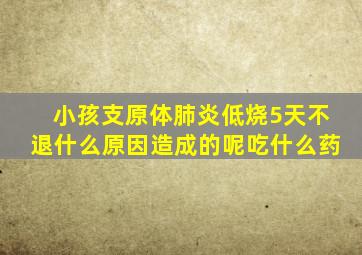 小孩支原体肺炎低烧5天不退什么原因造成的呢吃什么药