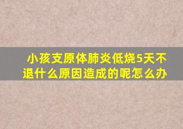 小孩支原体肺炎低烧5天不退什么原因造成的呢怎么办