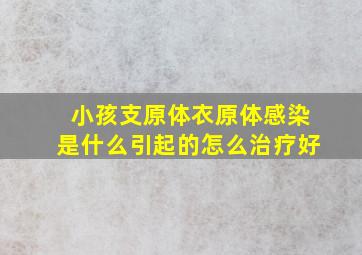 小孩支原体衣原体感染是什么引起的怎么治疗好