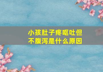 小孩肚子疼呕吐但不腹泻是什么原因