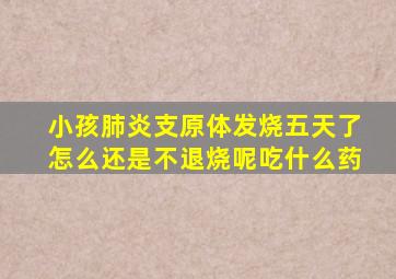 小孩肺炎支原体发烧五天了怎么还是不退烧呢吃什么药