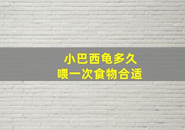 小巴西龟多久喂一次食物合适