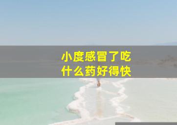 小度感冒了吃什么药好得快