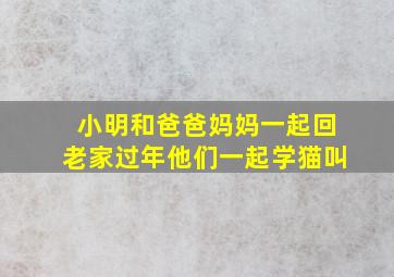 小明和爸爸妈妈一起回老家过年他们一起学猫叫