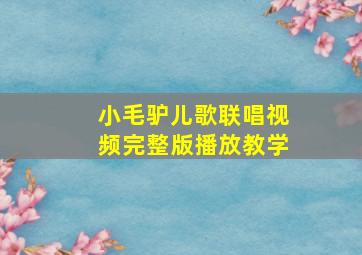 小毛驴儿歌联唱视频完整版播放教学