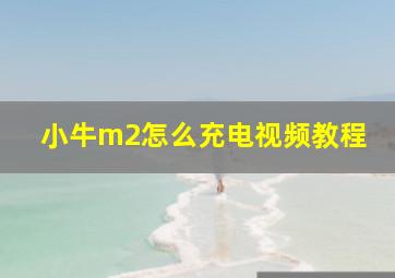 小牛m2怎么充电视频教程