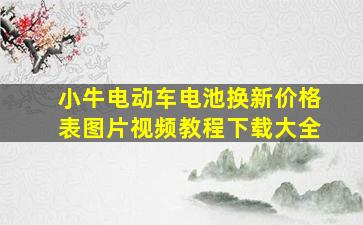 小牛电动车电池换新价格表图片视频教程下载大全