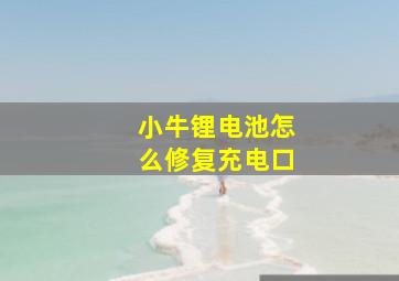 小牛锂电池怎么修复充电口