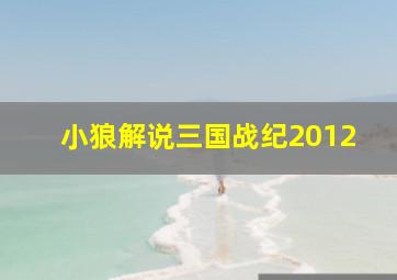 小狼解说三国战纪2012