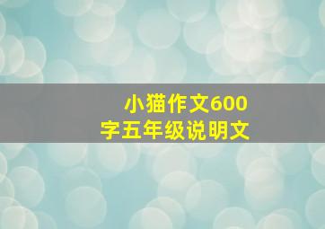 小猫作文600字五年级说明文