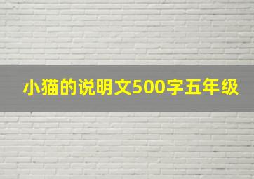 小猫的说明文500字五年级