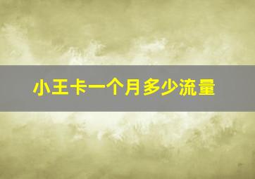 小王卡一个月多少流量