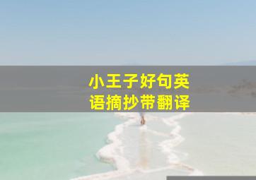 小王子好句英语摘抄带翻译