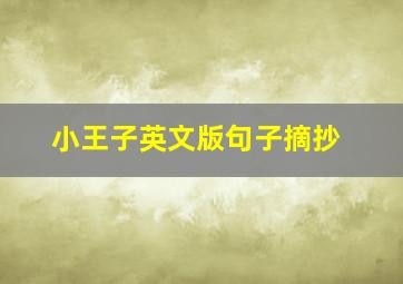 小王子英文版句子摘抄