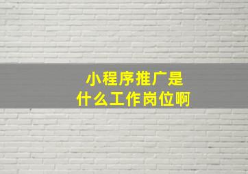 小程序推广是什么工作岗位啊