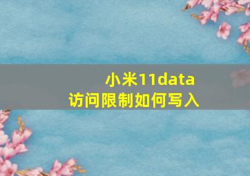 小米11data访问限制如何写入