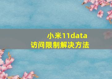 小米11data访问限制解决方法