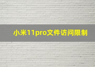 小米11pro文件访问限制