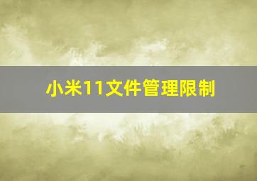 小米11文件管理限制