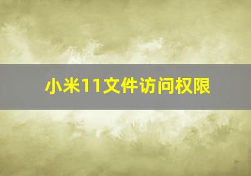 小米11文件访问权限