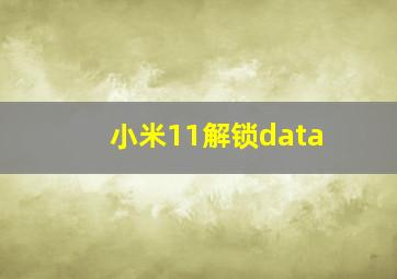 小米11解锁data