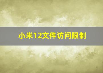 小米12文件访问限制