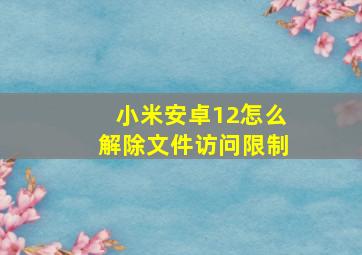 小米安卓12怎么解除文件访问限制