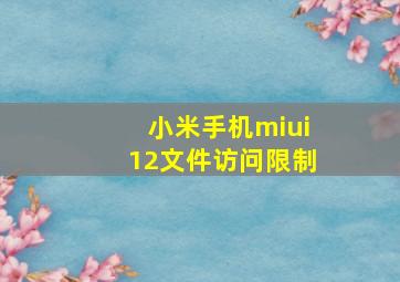 小米手机miui12文件访问限制