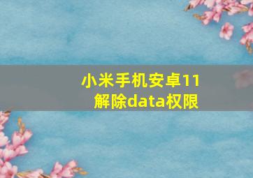 小米手机安卓11解除data权限