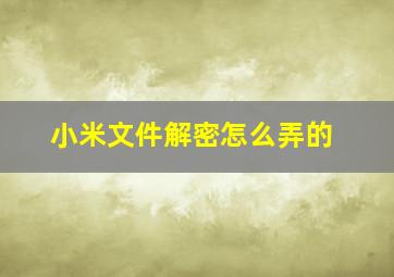 小米文件解密怎么弄的