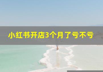 小红书开店3个月了亏不亏