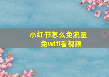 小红书怎么免流量免wifi看视频