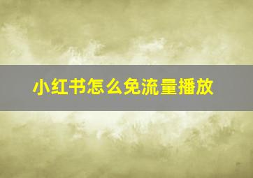 小红书怎么免流量播放