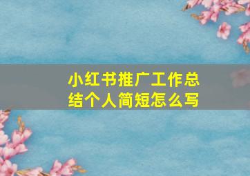 小红书推广工作总结个人简短怎么写