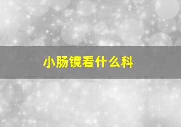 小肠镜看什么科