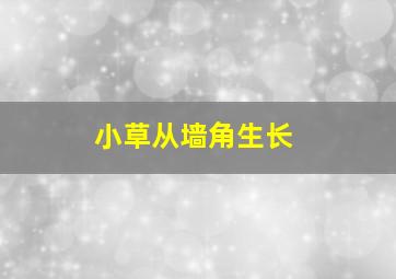 小草从墙角生长