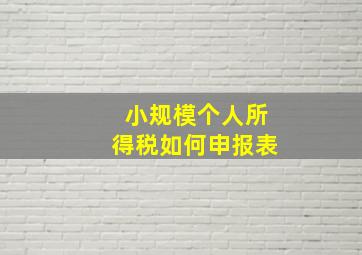 小规模个人所得税如何申报表