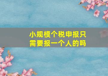 小规模个税申报只需要报一个人的吗