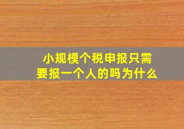 小规模个税申报只需要报一个人的吗为什么