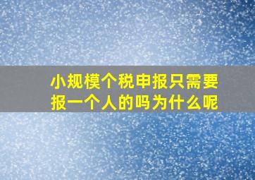 小规模个税申报只需要报一个人的吗为什么呢