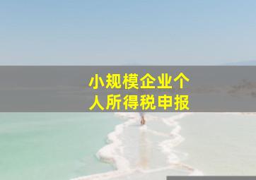 小规模企业个人所得税申报