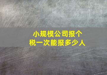 小规模公司报个税一次能报多少人