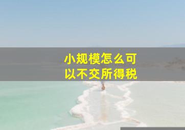 小规模怎么可以不交所得税