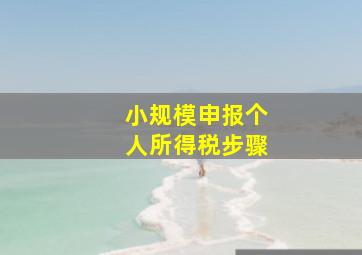 小规模申报个人所得税步骤