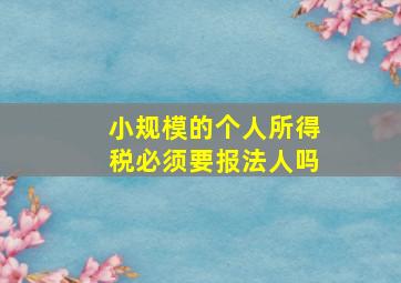 小规模的个人所得税必须要报法人吗