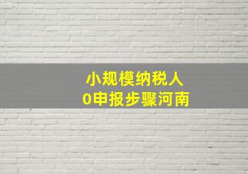 小规模纳税人0申报步骤河南