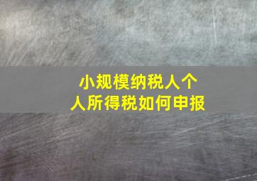 小规模纳税人个人所得税如何申报