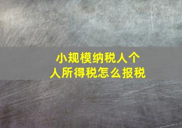 小规模纳税人个人所得税怎么报税