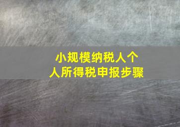 小规模纳税人个人所得税申报步骤